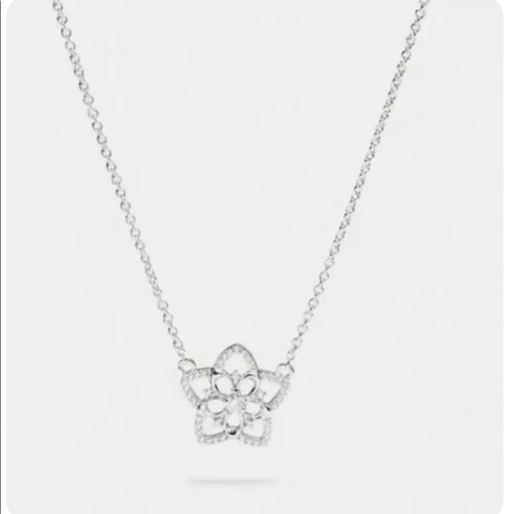 Coach pave Crystals pendant necklace